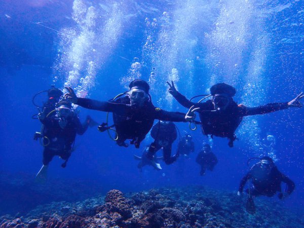 海ガメに逢える!?世界屈指の透明度のケラマ諸島で格安ファンダビング12：30集合