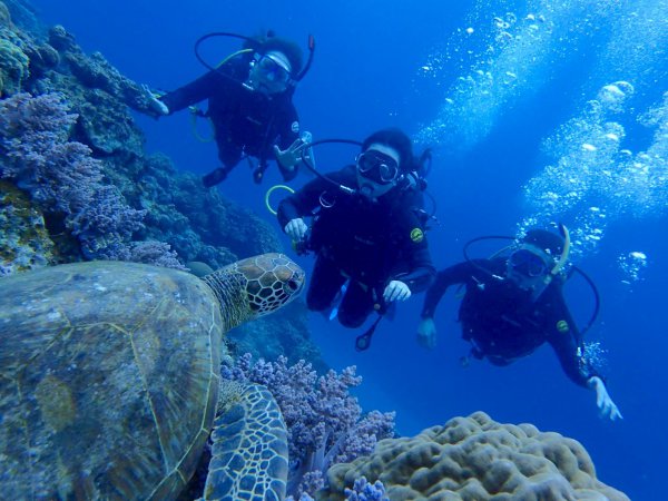 海ガメに逢える!?世界屈指の透明度のケラマ諸島で格安体験ダビング　12：30集合
